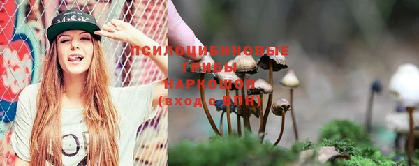 прущие крисы Абаза