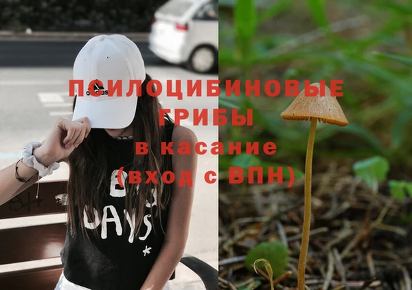 прущие крисы Абаза