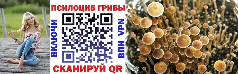 omg как зайти  Староминская  Галлюциногенные грибы Psilocybine cubensis 